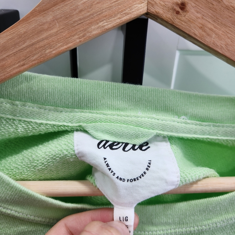 Aerie Spring Fling Light Green Real Crew Sweatshirt Size Large - Picture 3 of 6